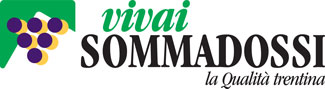 Vivai Sommadossi